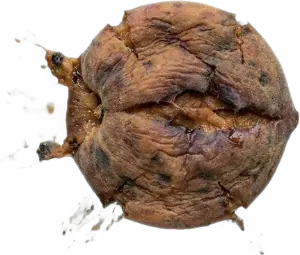 An overripe peach.