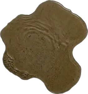 A vinegar puddle.